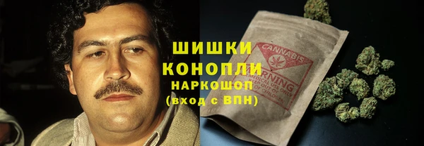 шишки Кодинск