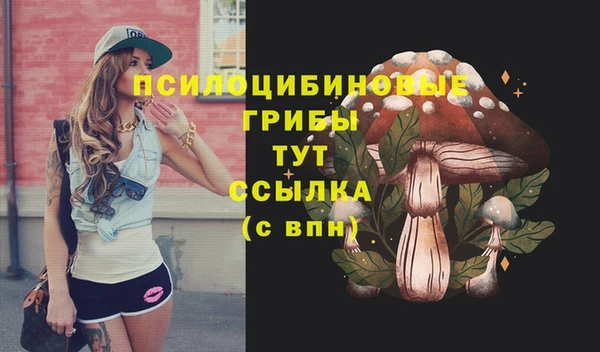 крисы Киреевск