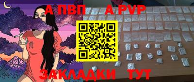 СК Кингисепп