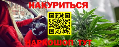 СК Кингисепп
