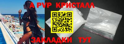 СК Кингисепп