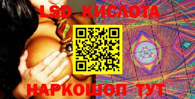 СК Кингисепп