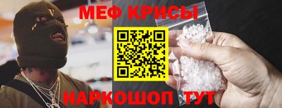 СК Кингисепп