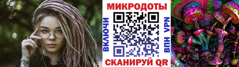 Псилоцибиновые грибы Magic Shrooms  где купить наркотик  Кудымкар 