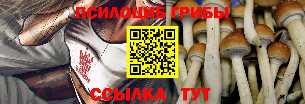 Галлюциногенные грибы Psilocybe  Вход с VPN  Галлюциногенные грибы ЛСД  Кудымкар 
