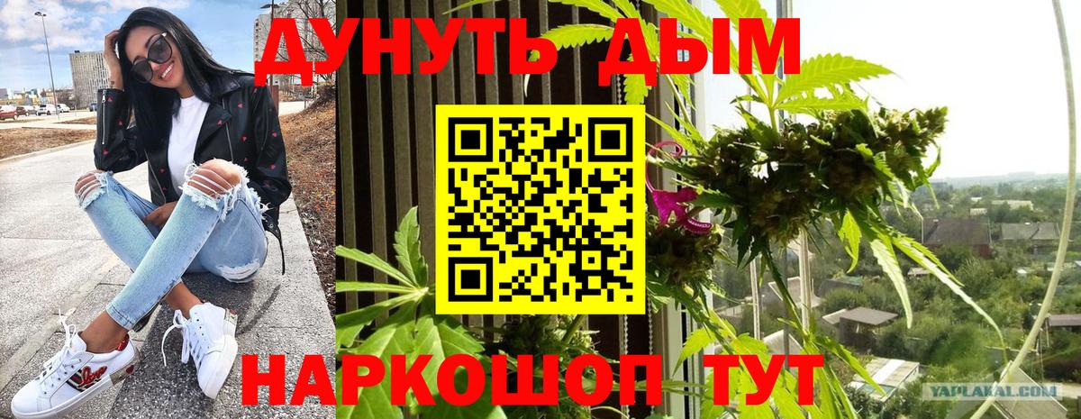 Каннабис ГИДРОПОН  Шишки марихуана конопля  Каннабис гибрид  Конопля индика  Кудымкар  Вход с VPN 
